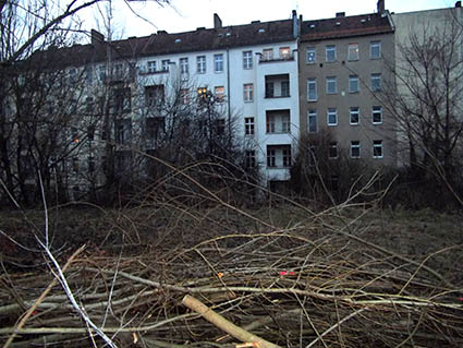 Alter Bahndamm hinter der Beermannstrasse